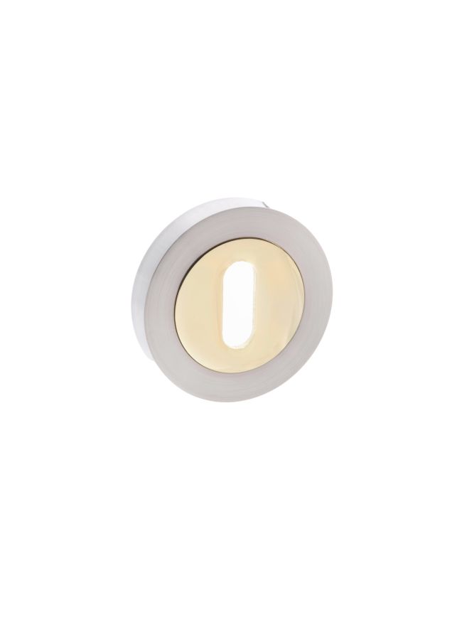 STATUS Key Escutcheons on Round Rose - Satin Nickel/Polished Brass (Pair)