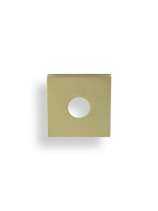 Valli Square Rosette Cover Pack - Satin Brass PVD