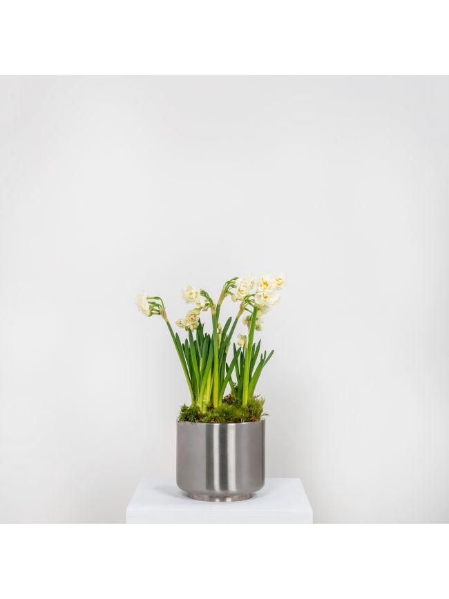 Satin Marine SS (316) 16cm Newlyn Pot