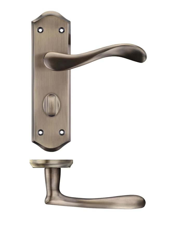 Zoo Hardware Project Asti lever on bathroom backplate - Bronze