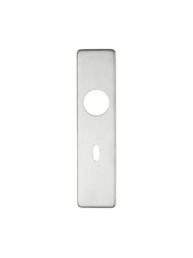 Zoo Hardware Cover plate for 19 mm RTD Lever on Short Backplate - Lock 57mm - 45mm x 180mm PSS - Stainless Steel