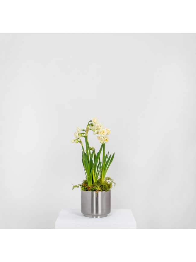Satin Marine SS (316) 12.5cm Newlyn Pot
