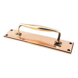 Polished Bronze 300mm Art Deco Pull Handle on Backplate