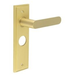 Kensington Door Handle Bathroom Backplate Satin Brass - By Frelan Hardware - BUR25KIT244