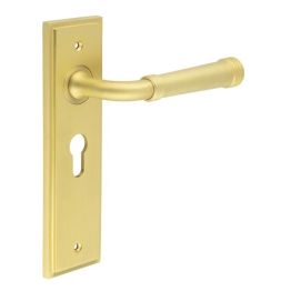 Highgate Door Handle Euro Backplate Satin Brass - By Frelan Hardware - BUR35KIT245
