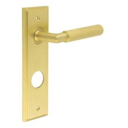 Piccadilly Door Handle Din Bathroom Backplate Satin Brass - By Frelan Hardware - BUR40KIT247