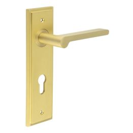 Fitzrovia Door Handle Din Euro Backplate Satin Brass - By Frelan Hardware - BUR15KIT246