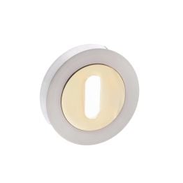 STATUS Key Escutcheons on Round Rose - Satin Nickel/Polished Brass