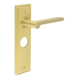 Fitzrovia Door Handle Bathroom Backplate Satin Brass - By Frelan Hardware - BUR15KIT244