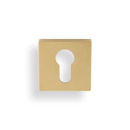 Valli Euro Profile Push-on Square Rosette Escutcheon - Satin Brass PVD