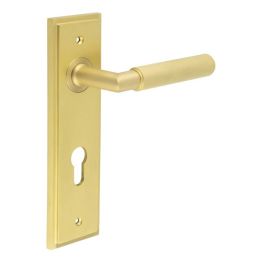 Piccadilly Door Handle Din Euro Backplate Satin Brass - By Frelan Hardware - BUR40KIT246