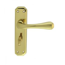 Eden Lever On Wc Backplate - Polished Brass