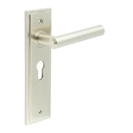 Richmond Door Handle Euro Backplate Satin Nickel - By Frelan Hardware - BUR45KIT323