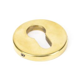 Aged Brass 52mm Regency Concealed Escutcheon