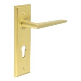 Mayfair Door Handle Din Euro Backplate Satin Brass - By Frelan Hardware - BUR10KIT246