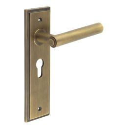 Richmond Door Handle Euro Backplate Antique Brass - By Frelan Hardware - BUR45KIT11