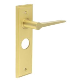 Knightbridge Door Handle Bathroom Backplate Satin Brass - By Frelan Hardware - BUR20KIT244
