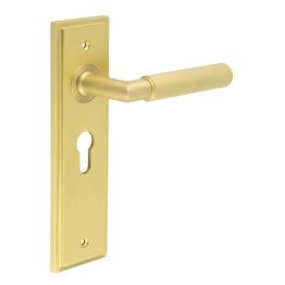 Piccadilly Door Handle Euro Backplate Satin Brass - By Frelan Hardware - BUR40KIT245