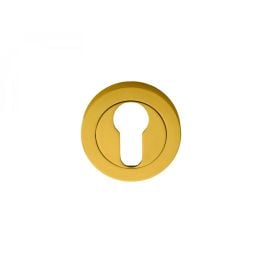 Euro Profile Escutcheon  - Polished Brass