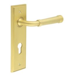 Highgate Door Handle Din Euro Backplate Satin Brass - By Frelan Hardware - BUR35KIT246