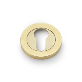 Alexander & Wilks - Concealed Fix Escutcheon - PVD Satin Brass - Euro Profile