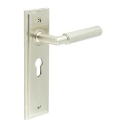 Piccadilly Door Handle Euro Backplate Satin Nickel - By Frelan Hardware - BUR40KIT323