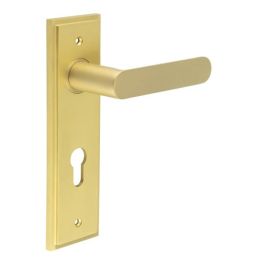 Kensington Door Handle Din Euro Backplate Satin Brass - By Frelan Hardware - BUR25KIT246