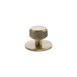 Millhouse Brass Battersea Linear Round Cabinet Knob Handle on Backplate - Antique Brass