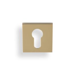 Valli Euro Profile Push-on Square Rosette Escutcheon - Polished Brass PVD