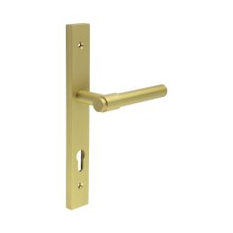 CR-103 Satin Brass Multi Point Backplate Door Handle - By Frelan Hardware - CR-103G4SB
