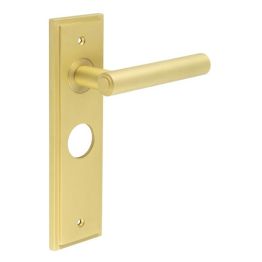 Richmond Door Handle Bathroom Backplate Satin Brass - By Frelan Hardware - BUR45KIT244