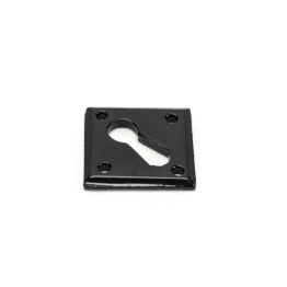 Black Diamond Escutcheon
