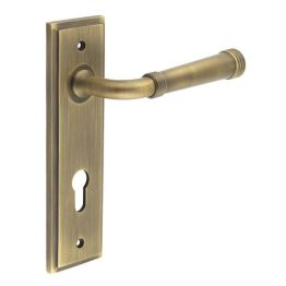 Highgate Door Handle Din Euro Backplate Satin Brass - By Frelan Hardware - BUR35KIT12