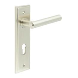 Richmond Door Handle Din Euro Backplate Satin Nickel - By Frelan Hardware - BUR45KIT324