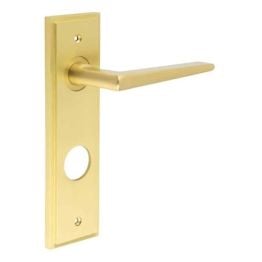 Mayfair Door Handle Din Bathroom Backplate Satin Brass - By Frelan Hardware - BUR10KIT247