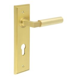 Westminster Door Handle Din Euro Backplate Satin Brass - By Frelan Hardware - BUR30KIT246