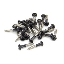 Black SS 3.5 x 20  Roundhead Screws (25)