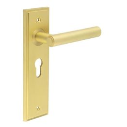 Richmond Door Handle Euro Backplate Satin Brass - By Frelan Hardware - BUR45KIT245