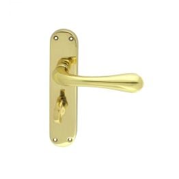 Astro Lever On Wc Backplate - Polished Brass