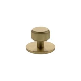 Millhouse Brass Battersea Linear Round Cabinet Knob Handle on Backplate - Satin Brass