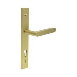 CR-101 Satin Brass Multi Point Backplate Door Handle - By Frelan Hardware - CR-101G4SB