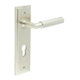 Piccadilly Door Handle Din Euro Backplate Satin Nickel - By Frelan Hardware - BUR40KIT324