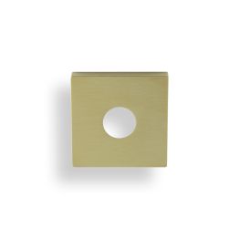 Valli Square Rosette Cover Pack - Satin Brass PVD