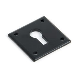 Black Avon Escutcheon