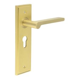 Fitzrovia Door Handle Euro Backplate Satin Brass - By Frelan Hardware - BUR15KIT245