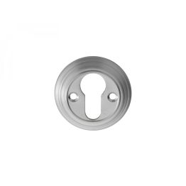 Delamain Euro Profile Escutcheon - Satin Chrome