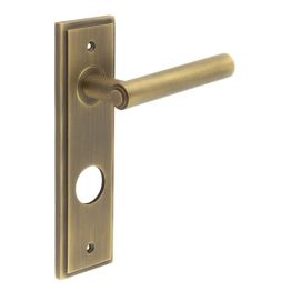 Richmond Door Handle Din Bathroom Backplate Antique Brass - By Frelan Hardware - BUR45KIT13