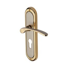 Heritage Brass Door Handle for Euro Profile Plate Ambassador Design Jupiter finish