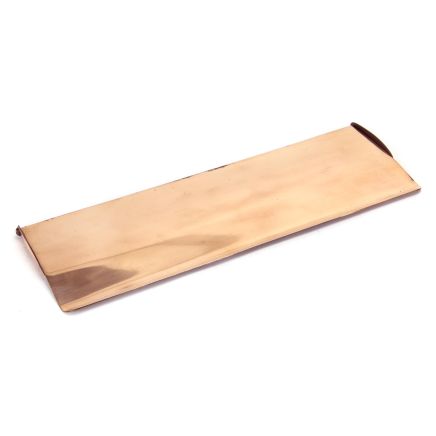 Polished Bronze Large Letter Plate Cover
