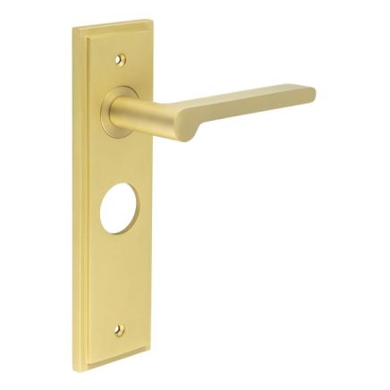 Fitzrovia Door Handle Bathroom Backplate Satin Brass - By Frelan Hardware - BUR15KIT244